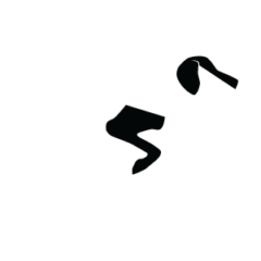 Astra Brittanys